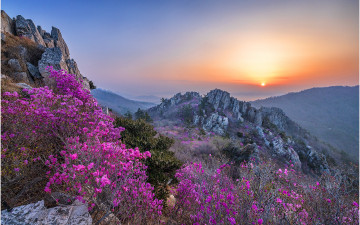 주작산이어라 !!!