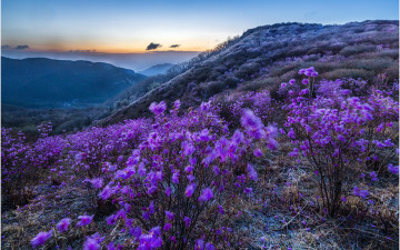 빙화와 상고대  !!!