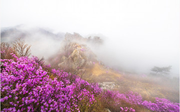 아~~ 주작산이어라 !!!