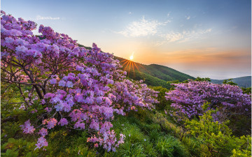 덕유산 일출 !!!