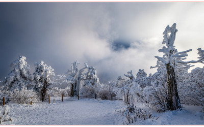 태백산_2024-02-26