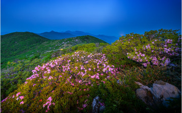 남덕유산 가는 길 !!!