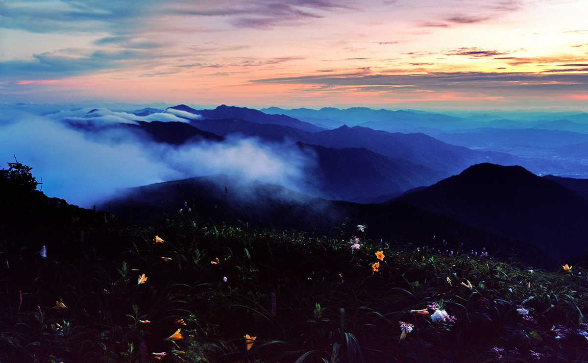 e1fc29424a1965a17f51d9682a2e3b47_1751412049_0648.jpg e1fc29424a1965a17f51d9682a2e3b47_1751412049_0648.jpg