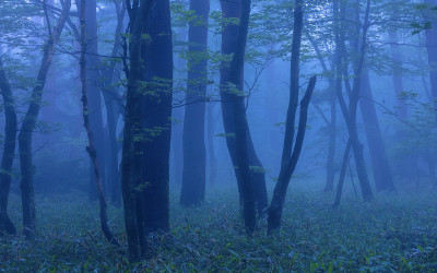 한라산의 여름-6