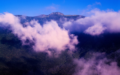 한라산의 여름-4