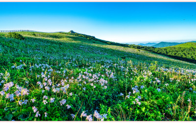 천상의 화원_2025