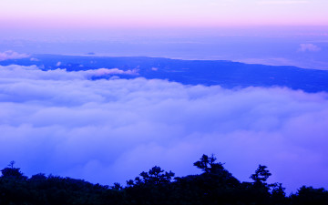 한라산의 여름-11