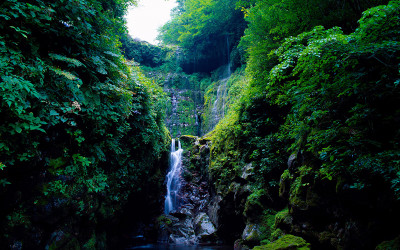 한라산의 여름-1