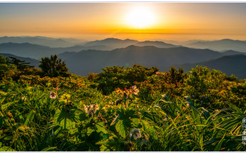 덕유산의 봄_2025-06-05