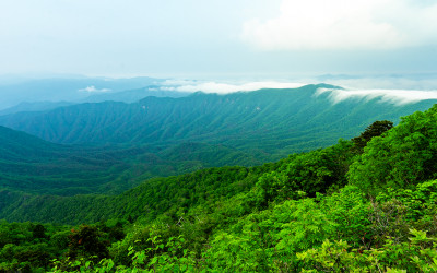 방태산의 여름 - 방태산