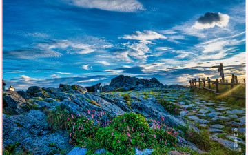 아름다운 우리 강산_2025-08-14