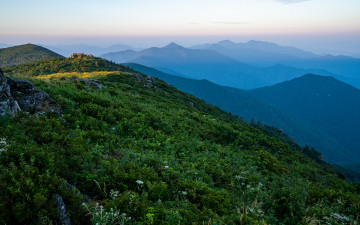 덕유의 여름은...