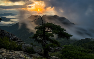 운해는 흐르고, 구름은 입벌리고~~