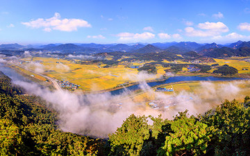 황금 물결에 순창들역
