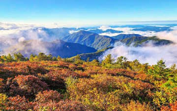 운해 위의 계절,  반야봉에 머물다