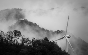 안개가득한 용대리