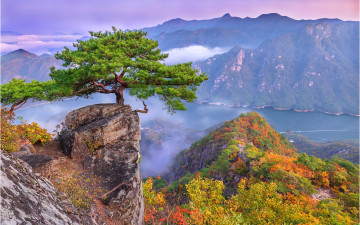 가을 제비봉 !!!