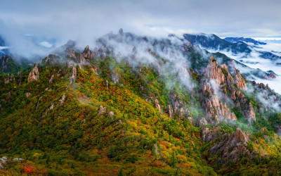 다시 달려가고 싶은 공룡