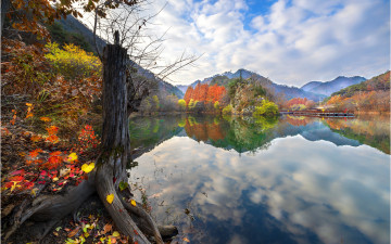 장태산 장안지  ~!!!