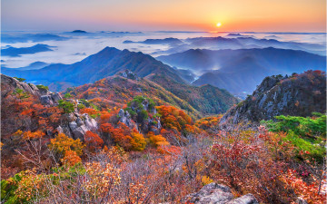 대둔산 가을 !!!