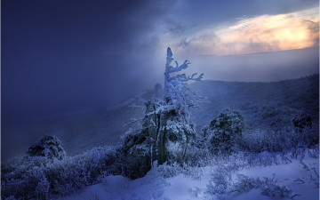 함백산이어라 !!!