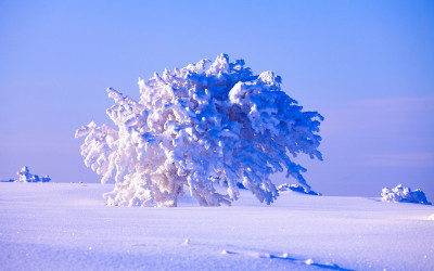 어리목코스에서-