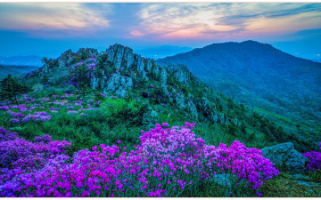 주작산의 추억_2025 - 덕룡산(주작산)