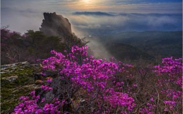 협회 모임 숙제~!!! - 금정산