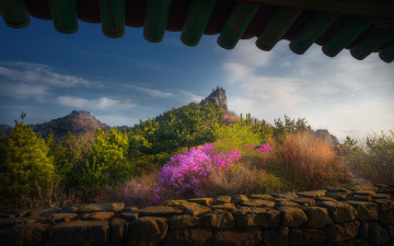 금정산의 봄 - 금정산