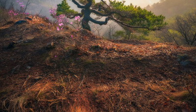 갈기산 갈기봉 - 갈기산