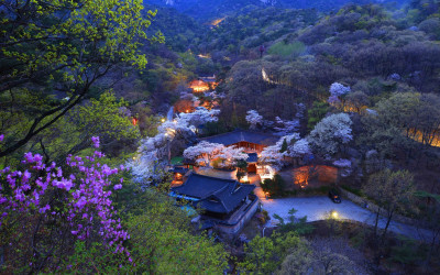 소귀천의 봄 북한산 선운각