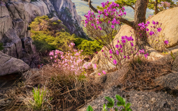 신선대에서 - 도봉산