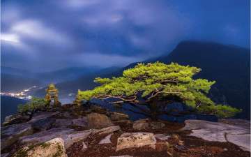 대둔산 소낭구 !!! - 대둔산