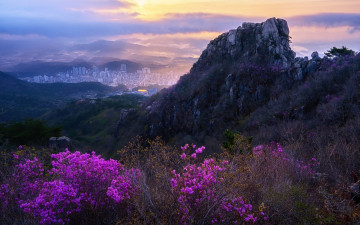 금정산 일출 - 금정산