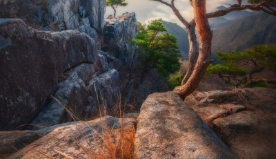 생애대 - 대둔산