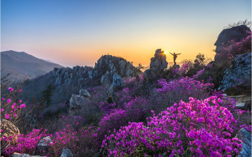 주작산이어라 !!!! - 덕룡산(주작산)