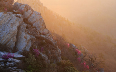 주작산 덕룡산 진달래의 봄
