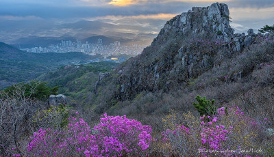 금정산 국립공원 지정 기념, 봄의 붉은 함성 속으로 - 금정산