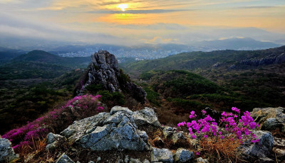 금정산의 봄 - 금정산