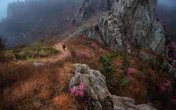 비모뉭 주작산 - 덕룡산(주작산)