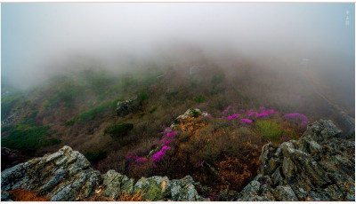 안개 속 금정산_2026 - 금정산