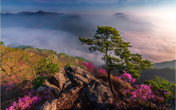 갈기산 !!! - 갈기산