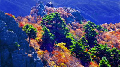 추억의지리산 122   박환윤