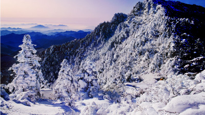 추억의지리산    103   박환윤