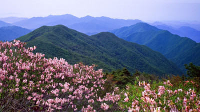 추억의지리산  72