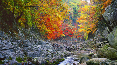 추억의지리산   120    박환윤