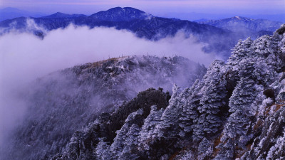 추억의 지리산 28