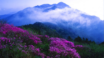 추억의지리산  71