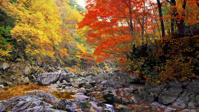 추억의지리산     116  박환윤