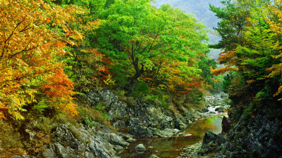 추억의지리산   55